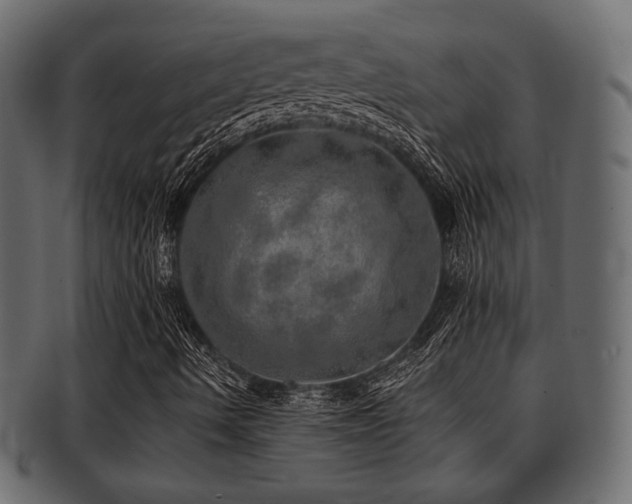 X0000093101490200709261220