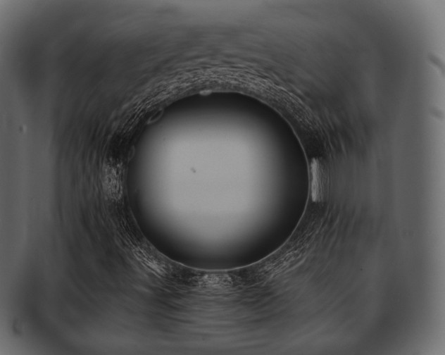 X0000093101491200709261220
