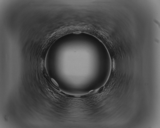 X0000093101492200709261220