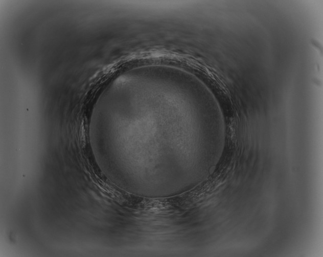 X0000093101493200709261220