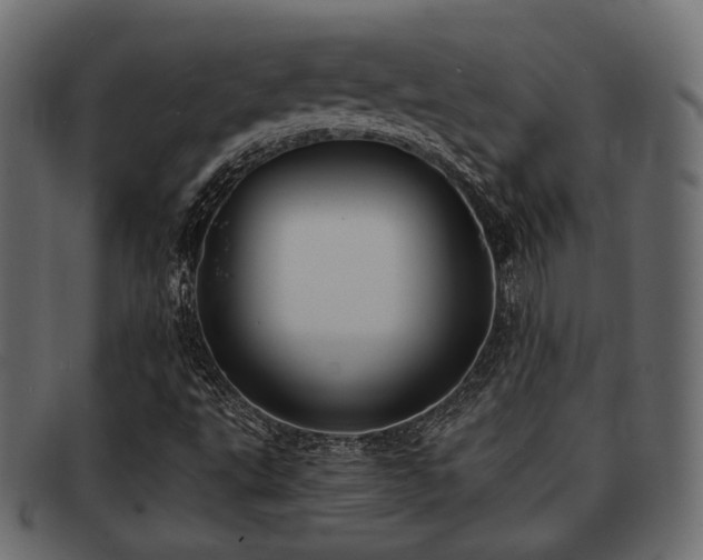 X0000093101495200709261220