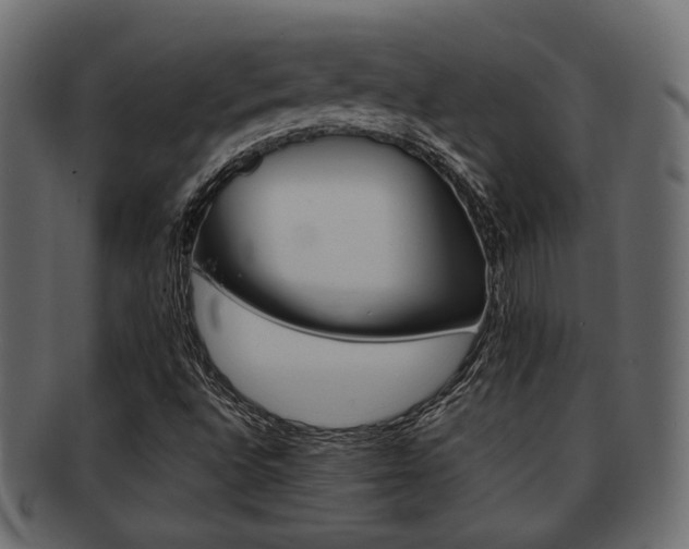 X0000093101496200709261220