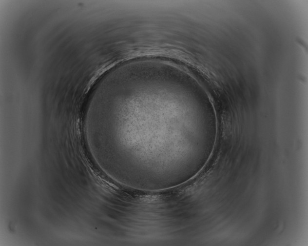 X0000093101497200709261220