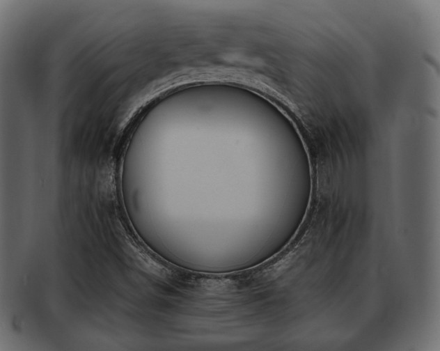 X0000093101498200709261220