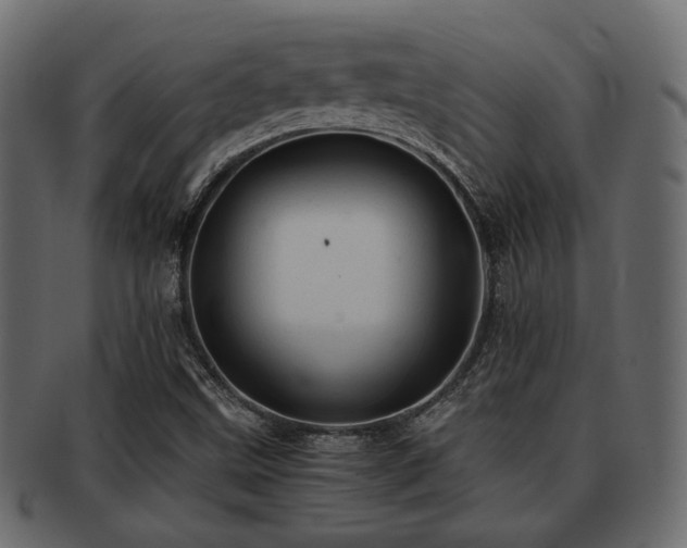 X0000093101499200709261220