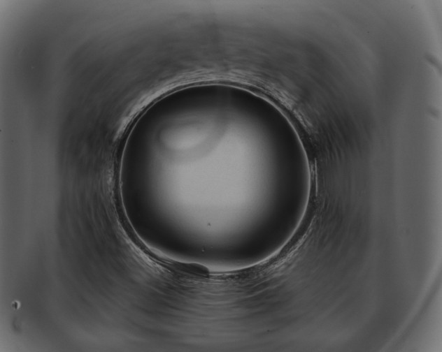 X0000093101500200709261220
