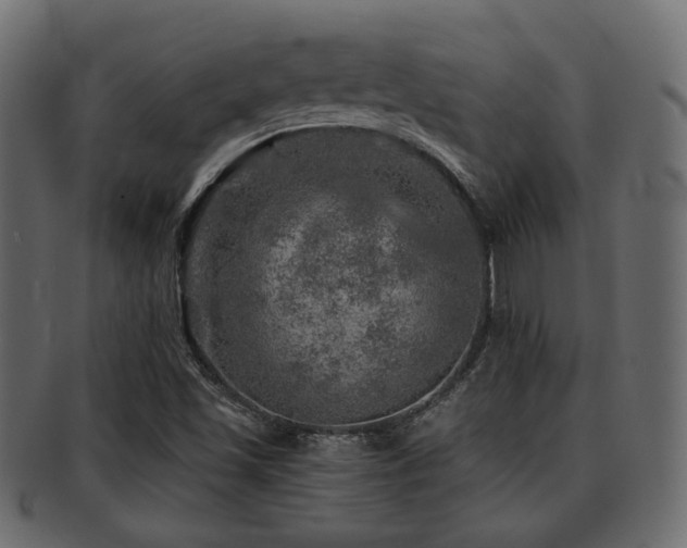 X0000093101501200709261220