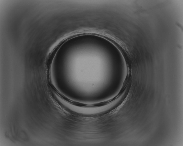 X0000093101502200709261220