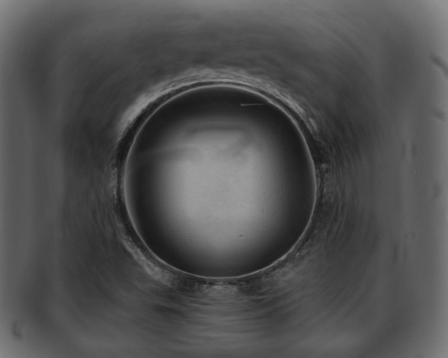 X0000093101503200709261220