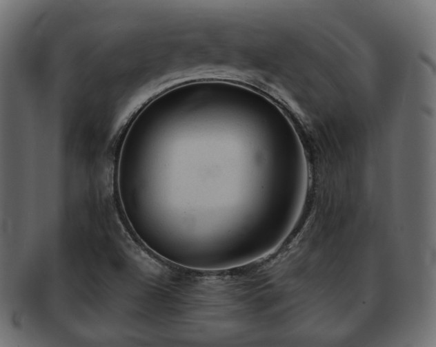 X0000093101504200709261220