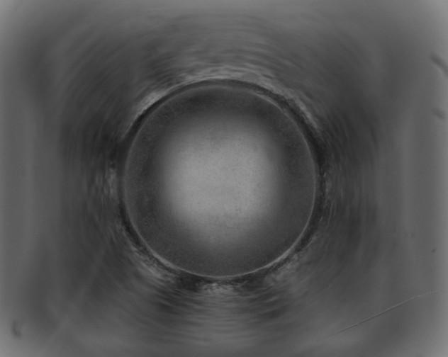 X0000093101505200709261220
