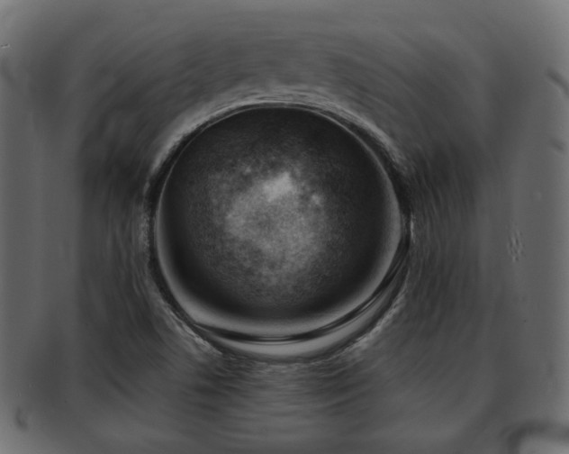 X0000093101506200709261220