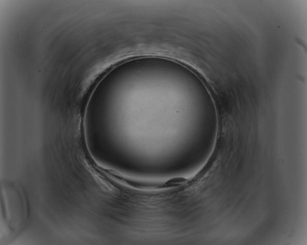 X0000093101507200709261220