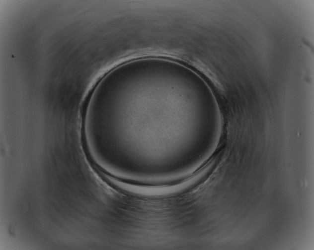 X0000093101508200709261220
