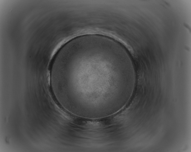 X0000093101509200709261220