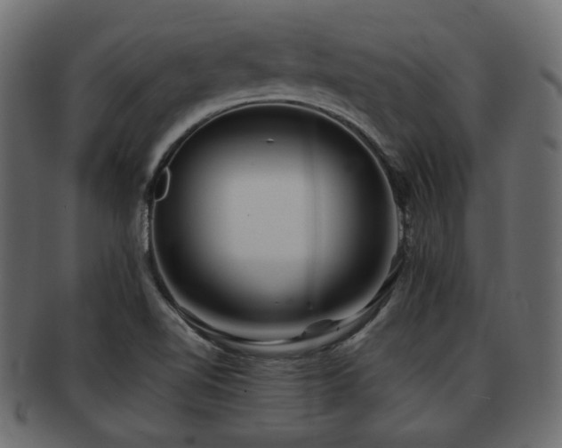 X0000093101510200709261220