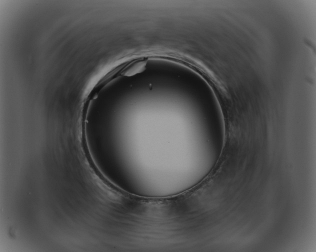 X0000093101512200709261220