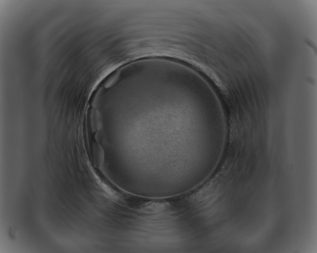 X0000093101513200709261220