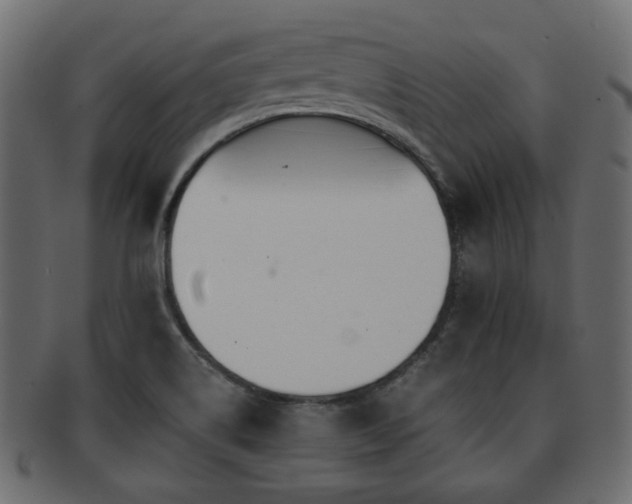 X0000093101514200709261220