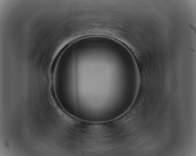 X0000093101515200709261220