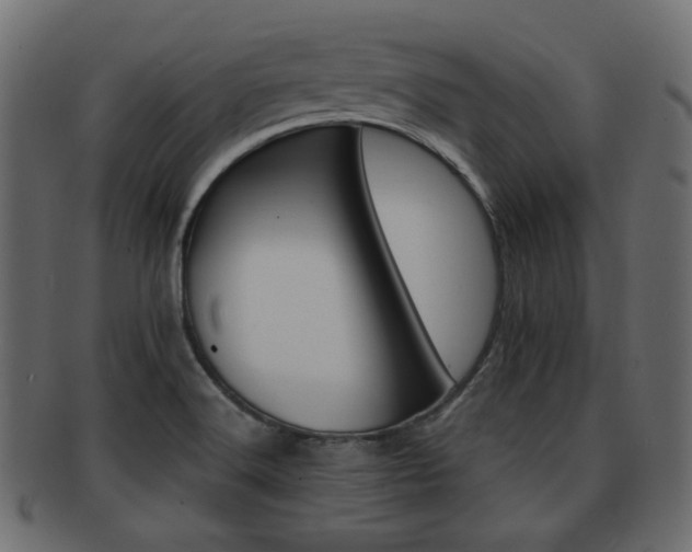X0000093101516200709261220
