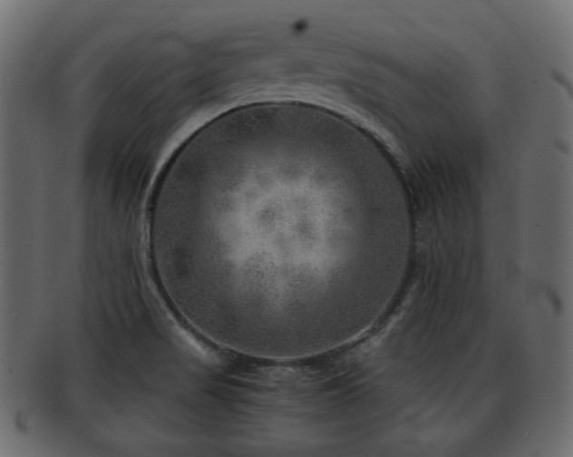 X0000093101517200709261220