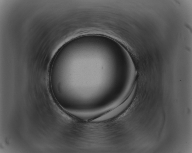 X0000093101518200709261220