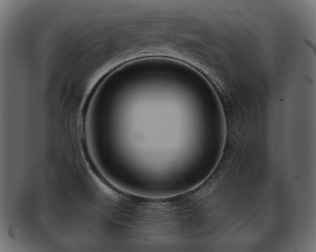 X0000093101519200709261220