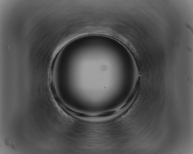 X0000093101520200709261220