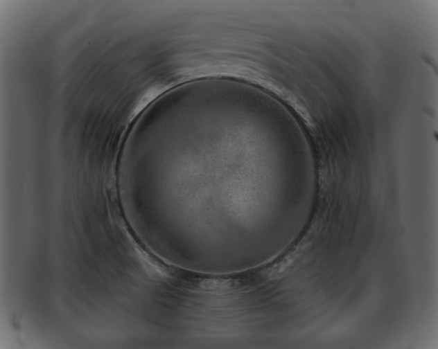X0000093101521200709261220