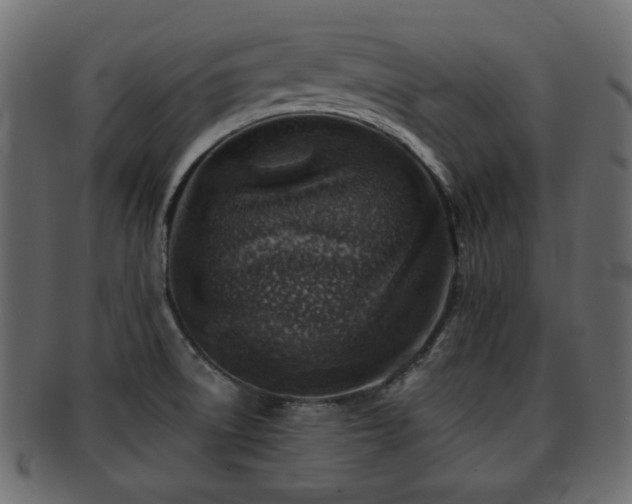 X0000093101522200709261220