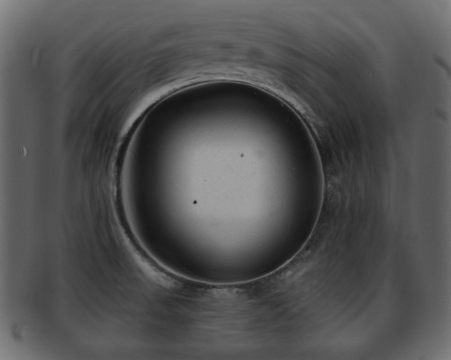 X0000093101523200709261220