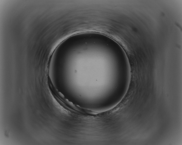 X0000093101524200709261220