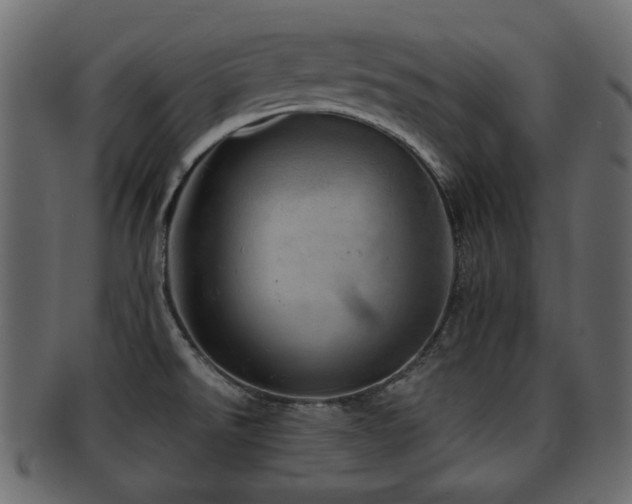 X0000093101526200709261220