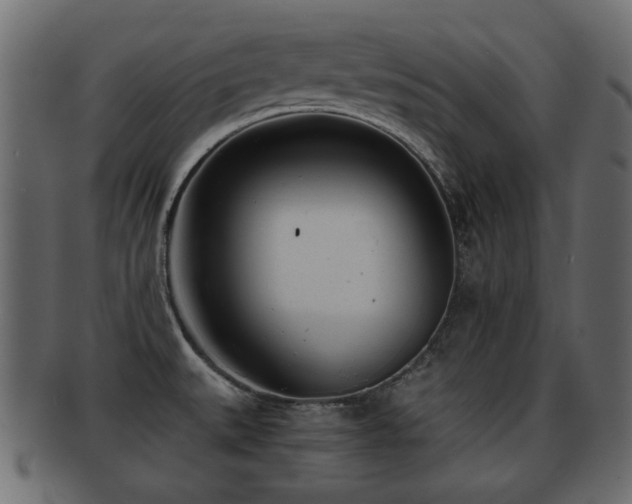 X0000093101527200709261220