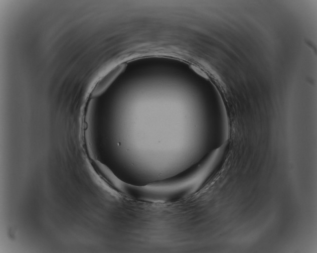 X0000093101528200709261220