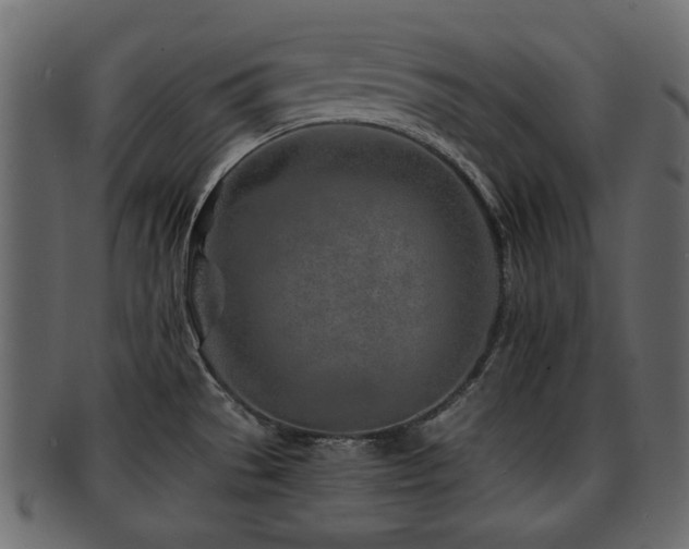 X0000093101529200709261220