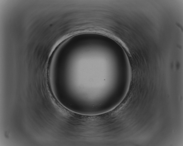X0000093101530200709261220