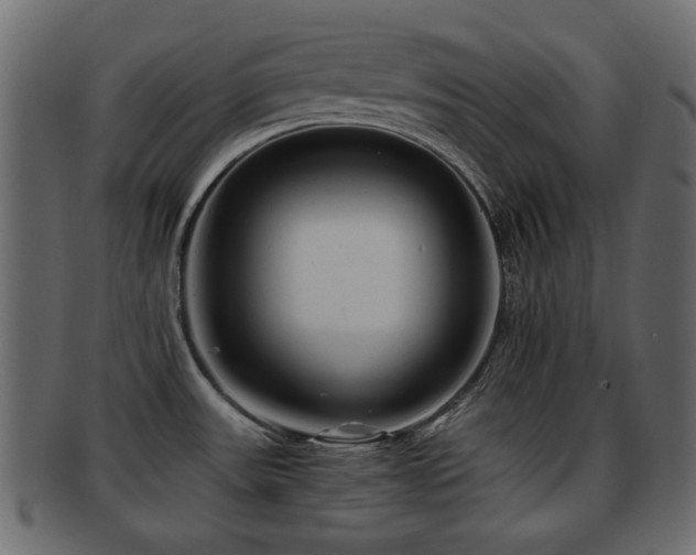 X0000093101531200709261220