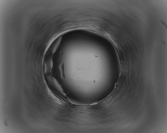 X0000093101532200709261220