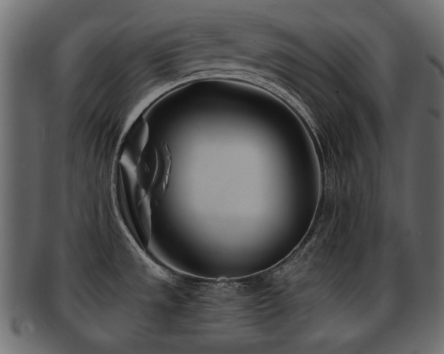 X0000093101533200709261220
