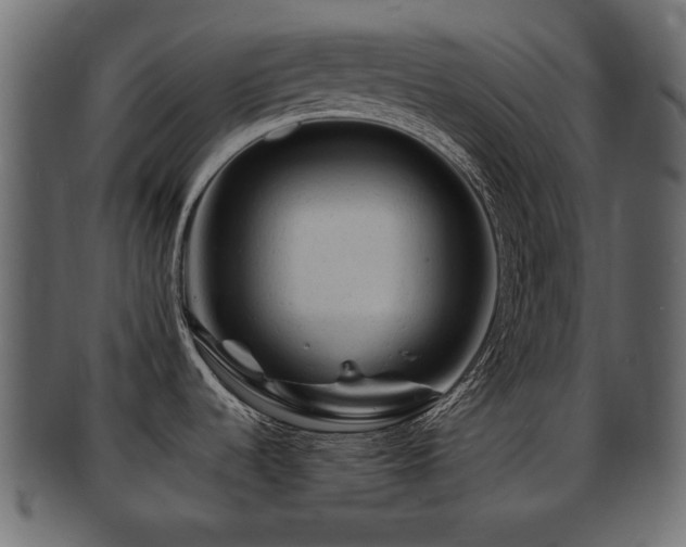 X0000093101536200709261220