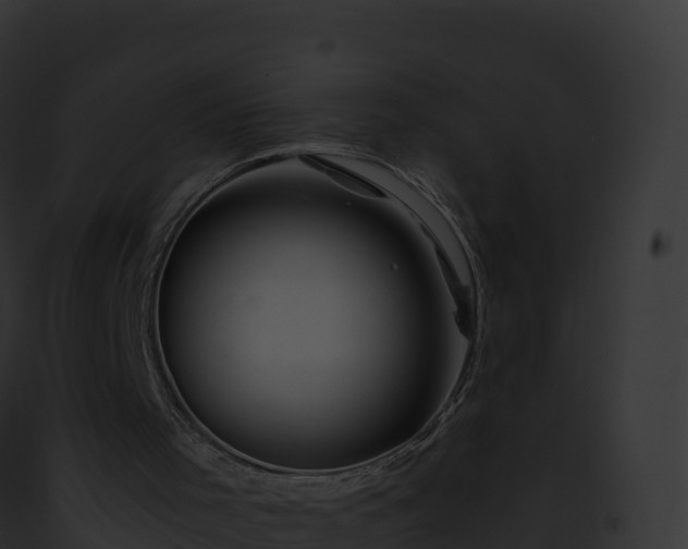 X0000093100001200710031508