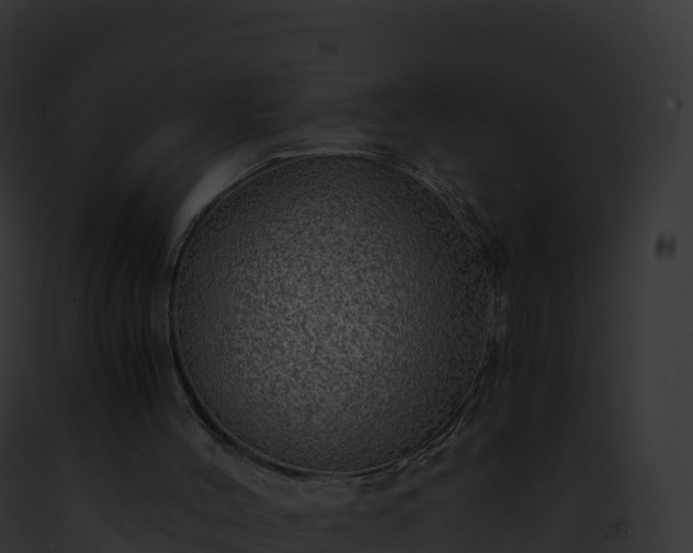 X0000093100004200710031508
