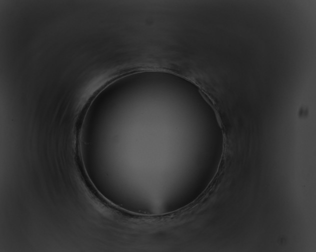 X0000093100005200710031508
