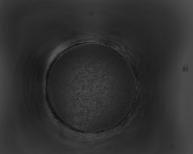 X0000093100006200710031508