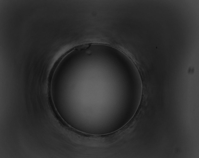 X0000093100008200710031508