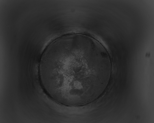 X0000093100010200710031508