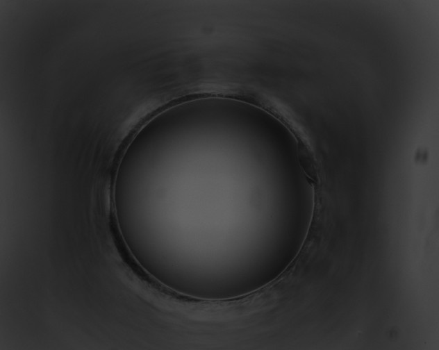 X0000093100011200710031508