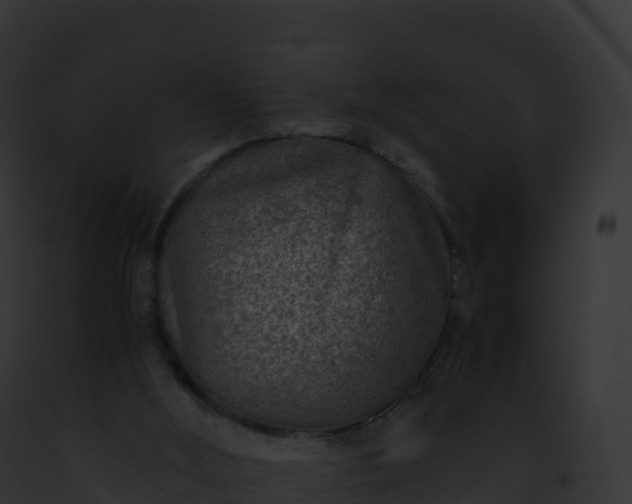 X0000093100012200710031508
